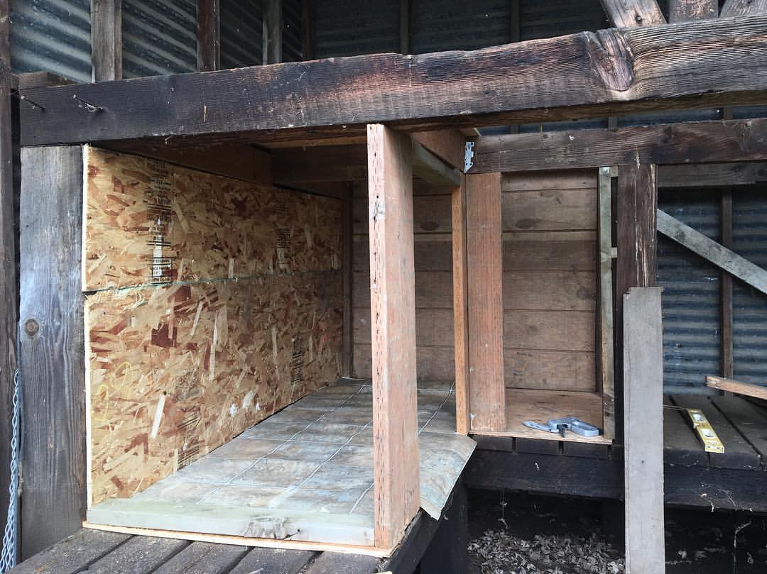 Inside wall and supports-Building a Chicken Coop