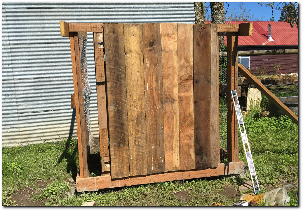 Building the chicken run door with old barn wood