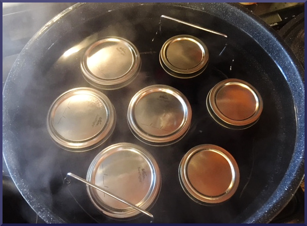 Canning plums in a Water Bath Canner