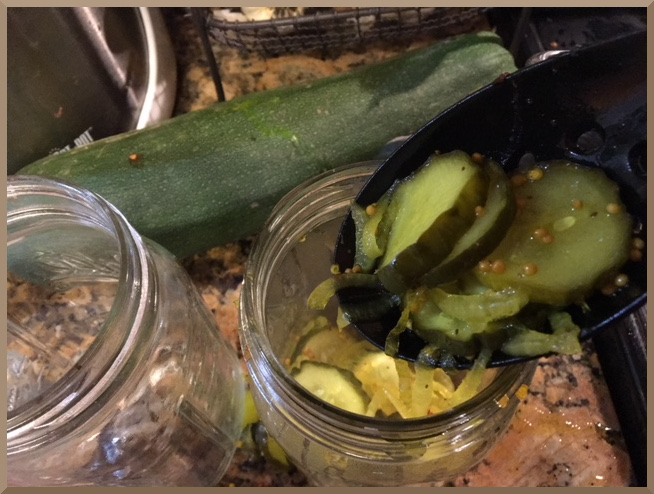 Fill canning jars with pickles
