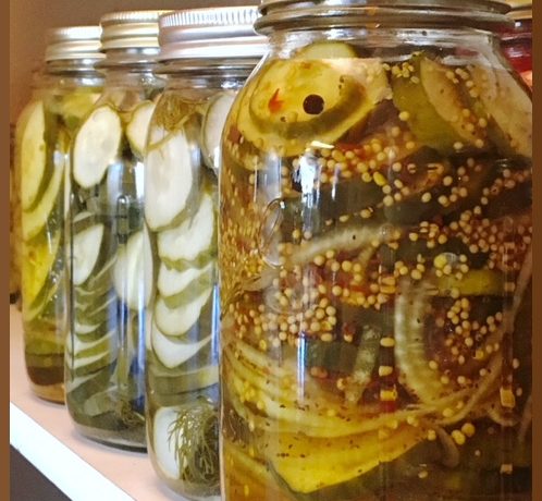 Bread and Butter Pickles Recipe