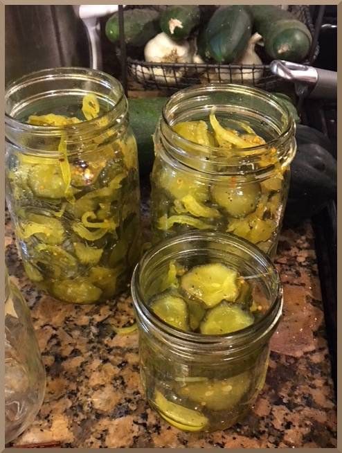 Filled pickle jars