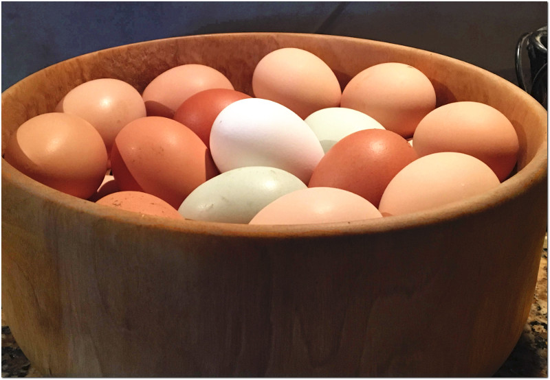 Farm Fresh Eggs Jefferson Oregon