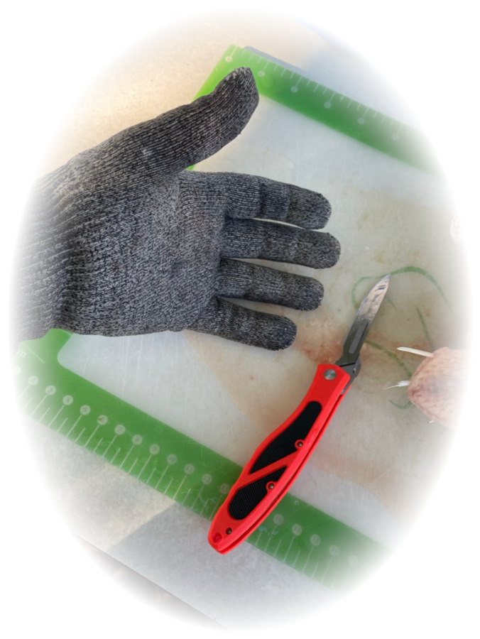 Cut resistant gloves for chicken processing