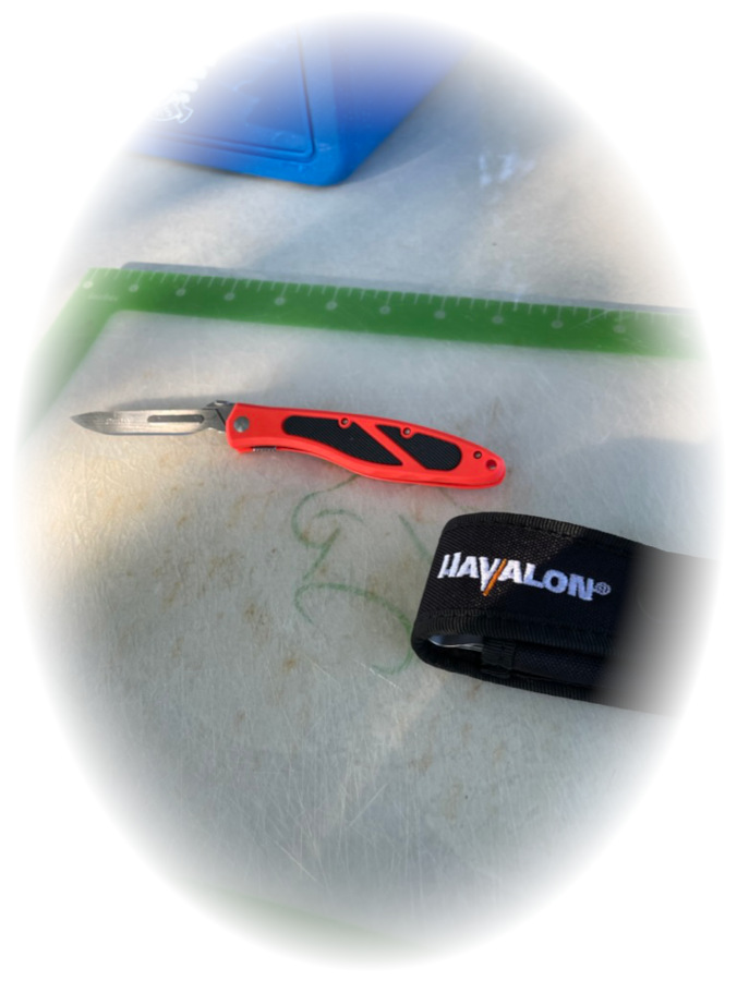 Havalon knife with disposable blades for chicken processing